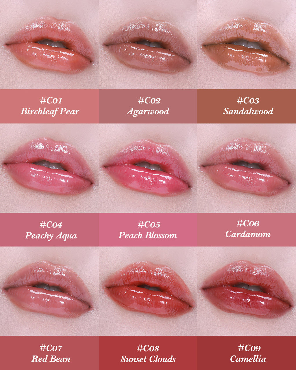 Flower Knows Butterfly Cloud Collar Glossy Lipstick | Camellia | Vintage Beauty Collection ✨
